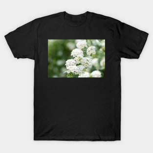 White flowers closeup T-Shirt